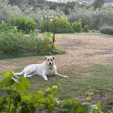 Casa Rural La Recuera Montánchez Εξωτερικό φωτογραφία