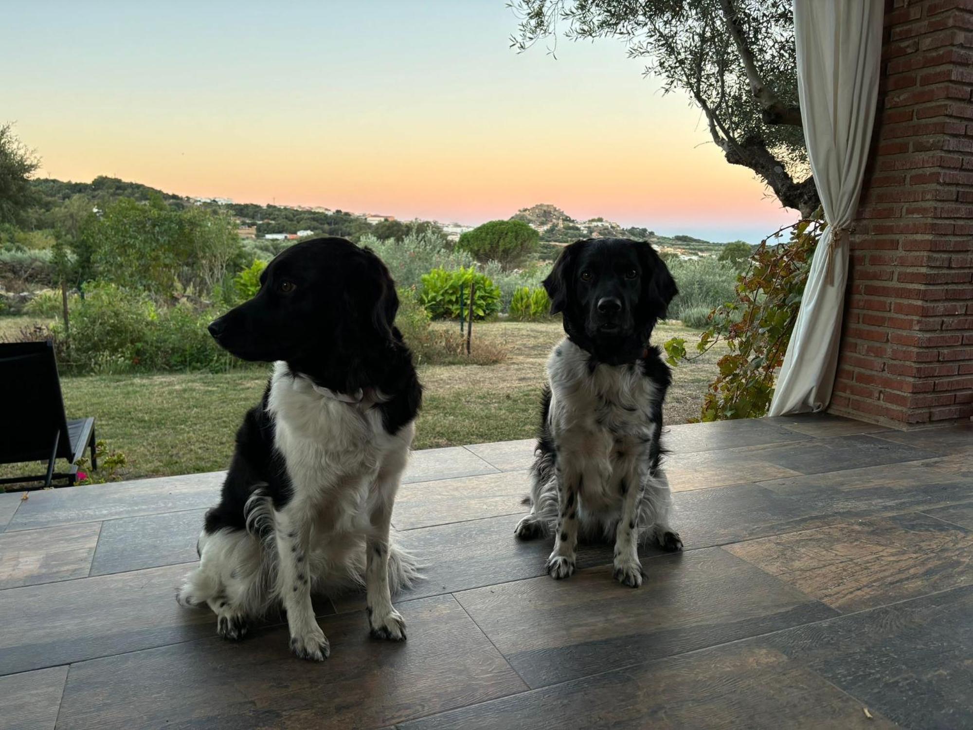 Casa Rural La Recuera Montánchez Εξωτερικό φωτογραφία