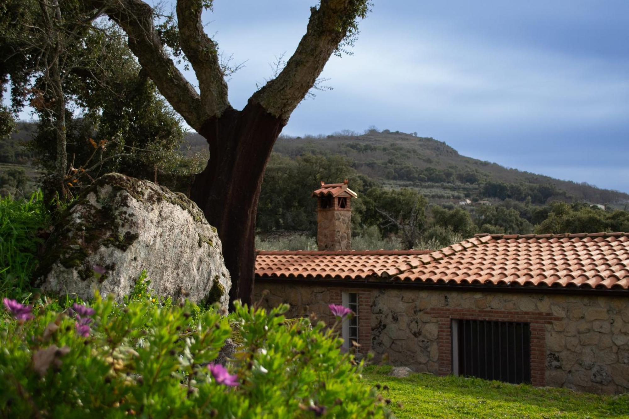 Casa Rural La Recuera Montánchez Εξωτερικό φωτογραφία